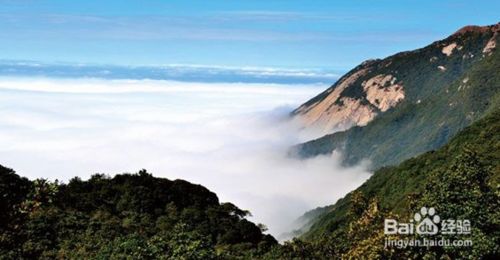 惠州距罗浮山多远_到惠州罗浮山旅游攻略_惠州罗浮山怎么走