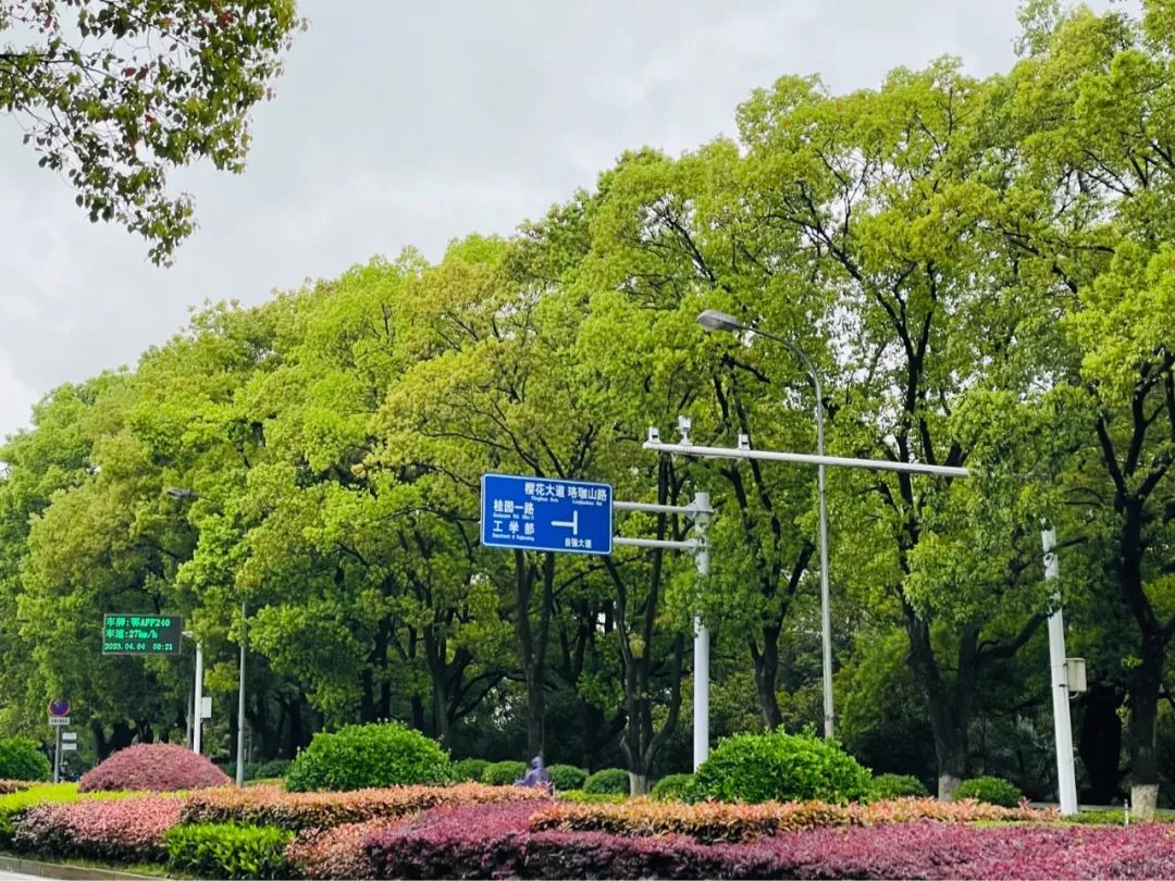 湖北省博物馆游玩攻略_湖北省博物馆一日游_湖北省博物馆旅游