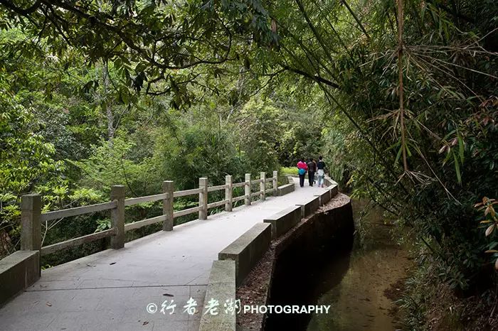 惠州罗浮山怎么走_惠州山罗浮山在哪里_到惠州罗浮山旅游攻略