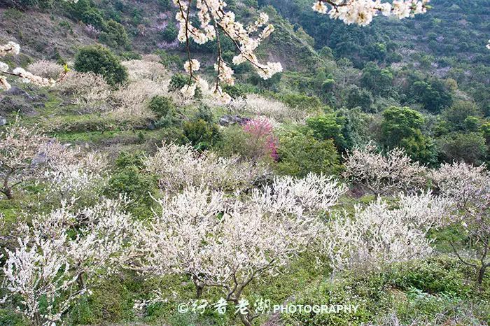 到惠州罗浮山旅游攻略_惠州罗浮山怎么走_惠州山罗浮山在哪里