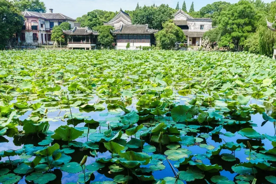 西塘古镇旅游攻略_塘栖古镇古城古镇旅游攻略_江南古镇旅游合理攻略