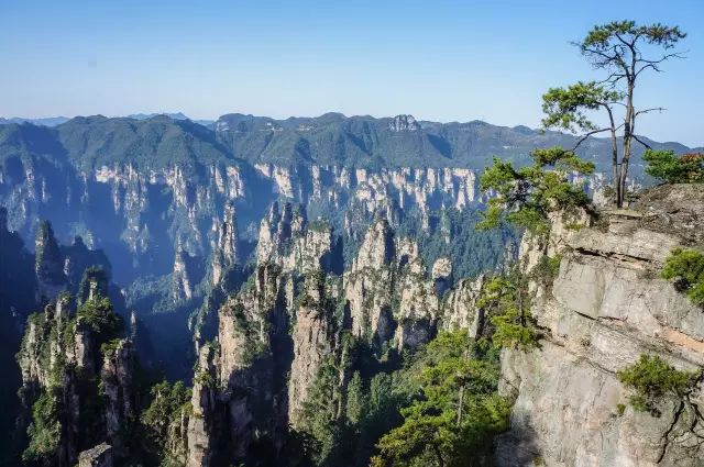 春节国内哪里玩去哪里旅游_国内春节去哪里旅游比较好_春节国内旅游去哪里好