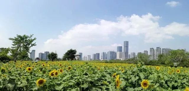 福州到普陀山旅游攻略三日游_福州到乌镇旅游攻略_福州到北京旅游攻略