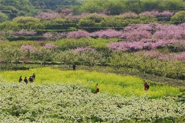 春天国内旅游_春内珠宝论坛_天国旅游是什么歌词