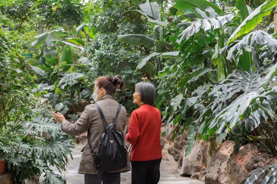 嘉兴南湖旅游攻略_嘉兴丽水旅游攻略_嘉兴到东极岛旅游攻略