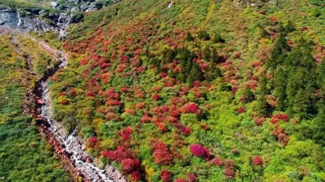 自驾毕棚沟最全攻略_自驾攻略旅游毕棚沟路线_毕棚沟旅游攻略自驾