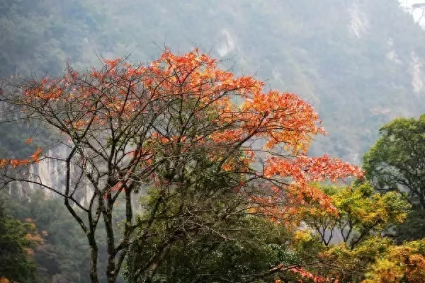 自驾攻略旅游毕棚沟路线_毕棚沟旅游攻略自驾_自驾毕棚沟最全攻略