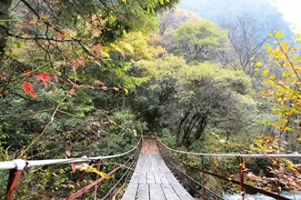 自驾毕棚沟最全攻略_自驾攻略旅游毕棚沟路线_毕棚沟旅游攻略自驾