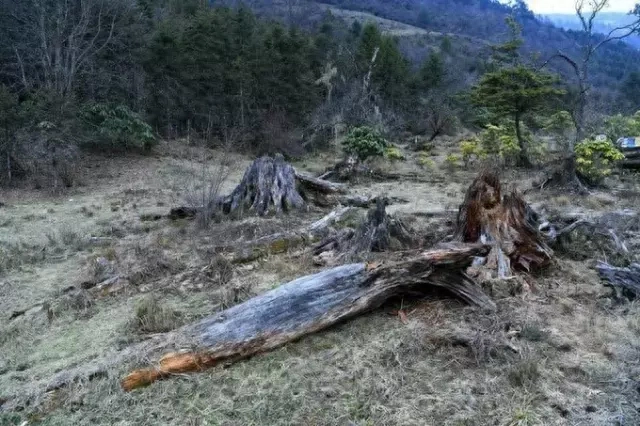 自驾毕棚沟最全攻略_自驾攻略旅游毕棚沟路线_毕棚沟旅游攻略自驾