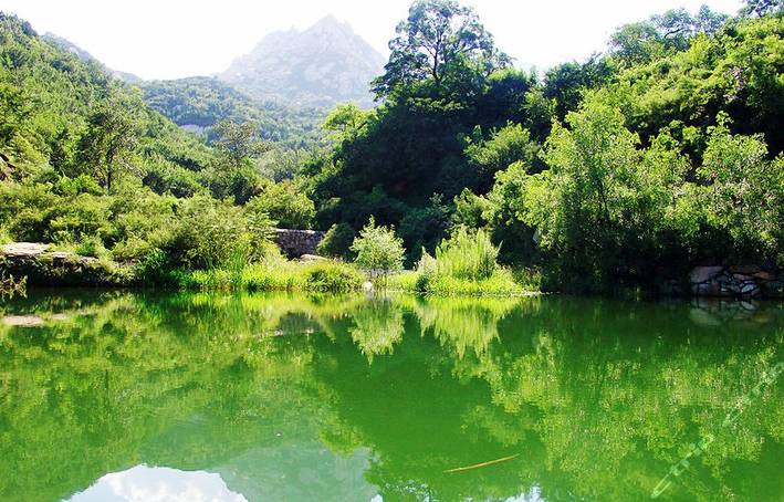 凤山温泉度假村游玩攻略_凤村有什么好玩的景点_村却国际温泉酒店