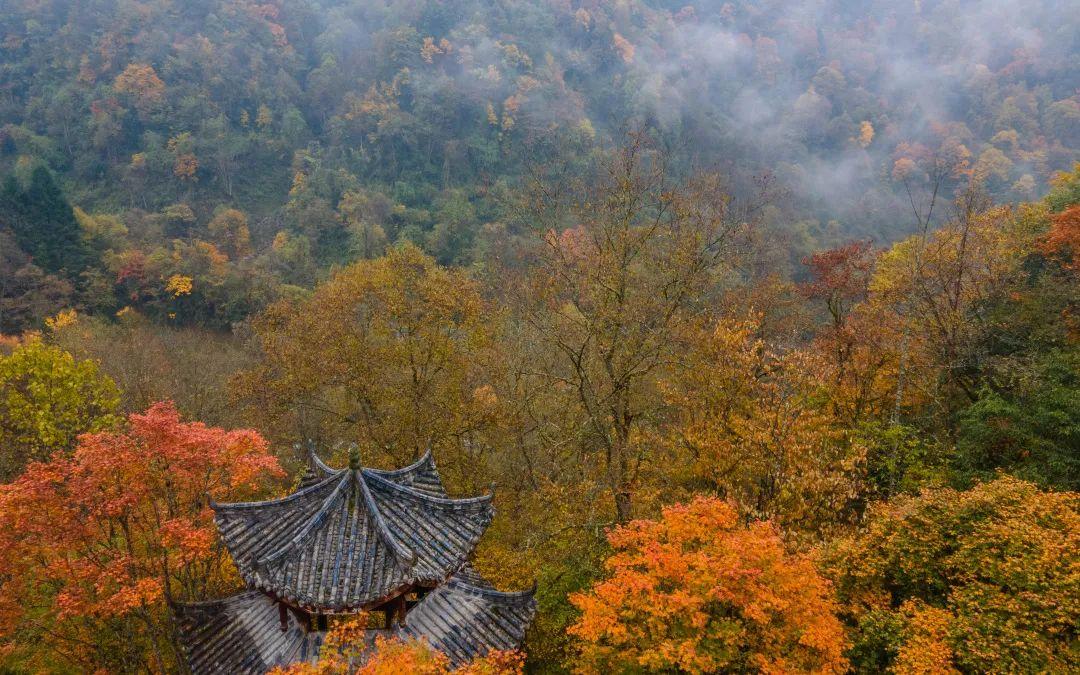 雅安周边景区_雅安周边好玩的景点_雅安市周边游