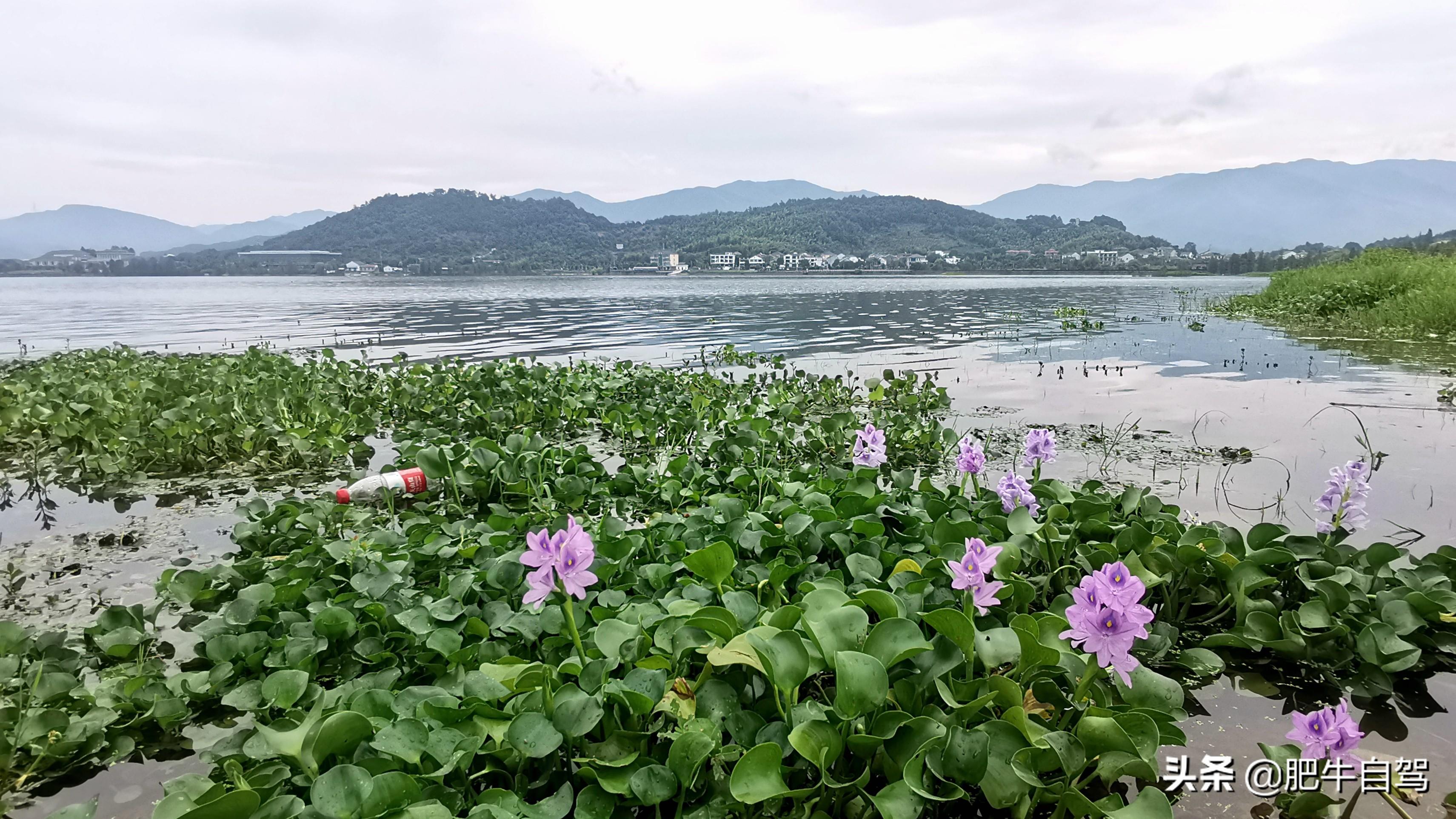 四明山游记_四明山旅游攻略_四明山三日游