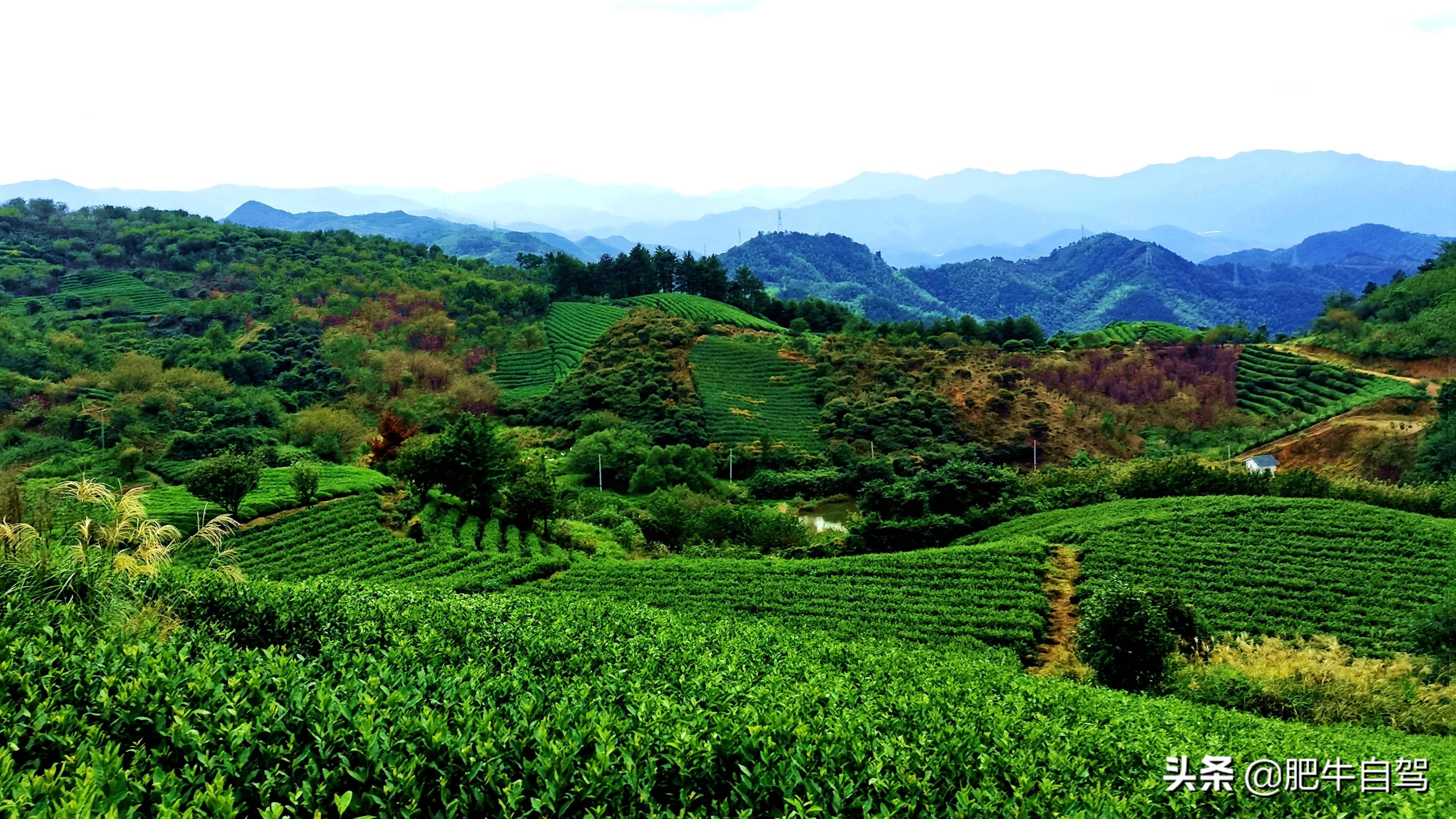 四明山三日游_四明山旅游攻略_四明山游记