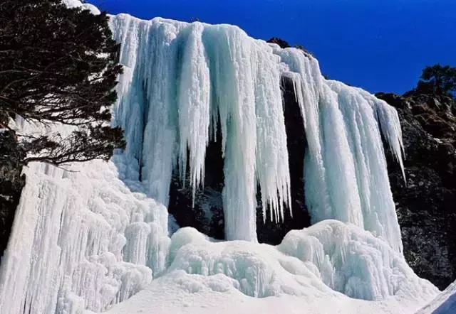 昆明轿子雪山多少钱门票_昆明轿子雪山雪景_昆明轿子雪山旅游攻略