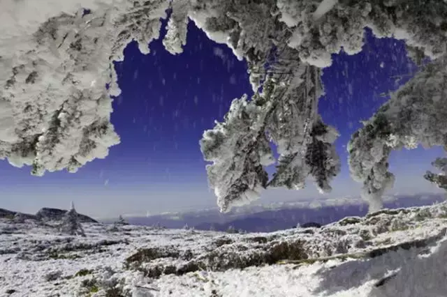 昆明轿子雪山雪景_昆明轿子雪山旅游攻略_昆明轿子雪山多少钱门票