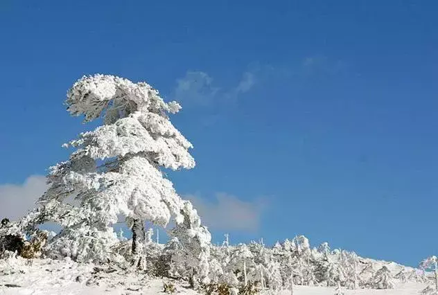 昆明轿子雪山旅游攻略_昆明轿子雪山多少钱门票_昆明轿子雪山雪景