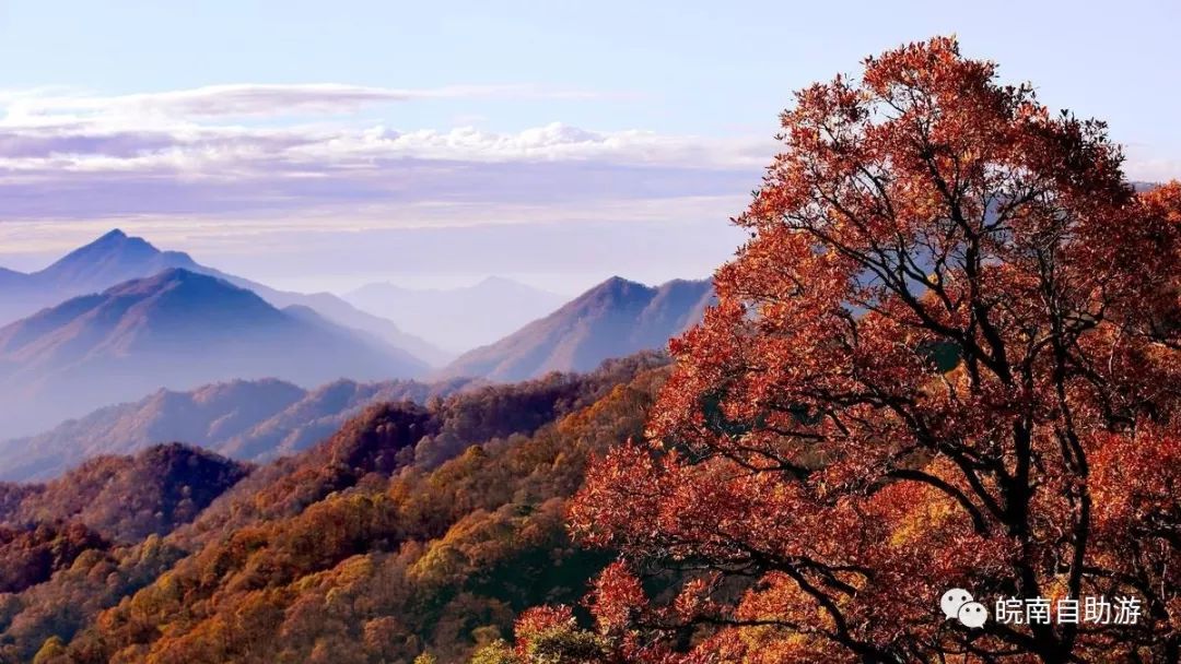 安徽塔川旅游攻略_安徽塔川自助游攻略_安徽塔川景点介绍