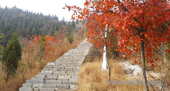 安徽塔川旅游攻略_安徽塔川景点介绍_安徽塔川自助游攻略