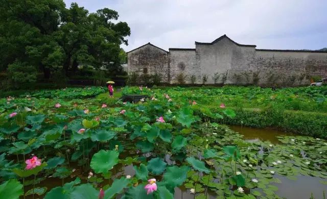 安徽塔川旅游攻略_安徽塔川景点介绍_安徽塔川旅游最佳时间