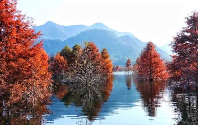 安徽塔川旅游最佳时间_安徽塔川旅游攻略_安徽塔川景点介绍