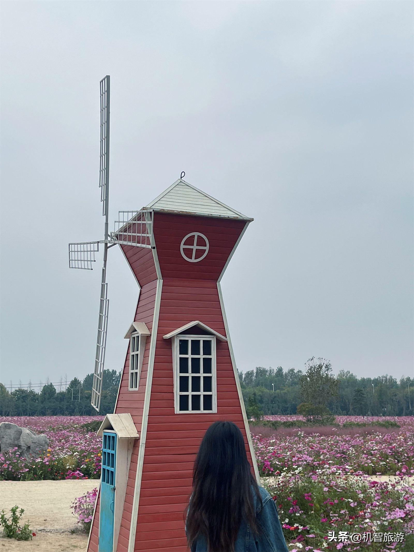 日照冬季旅游哪里好玩_日照冬季旅游景点大全_冬季日照旅游攻略