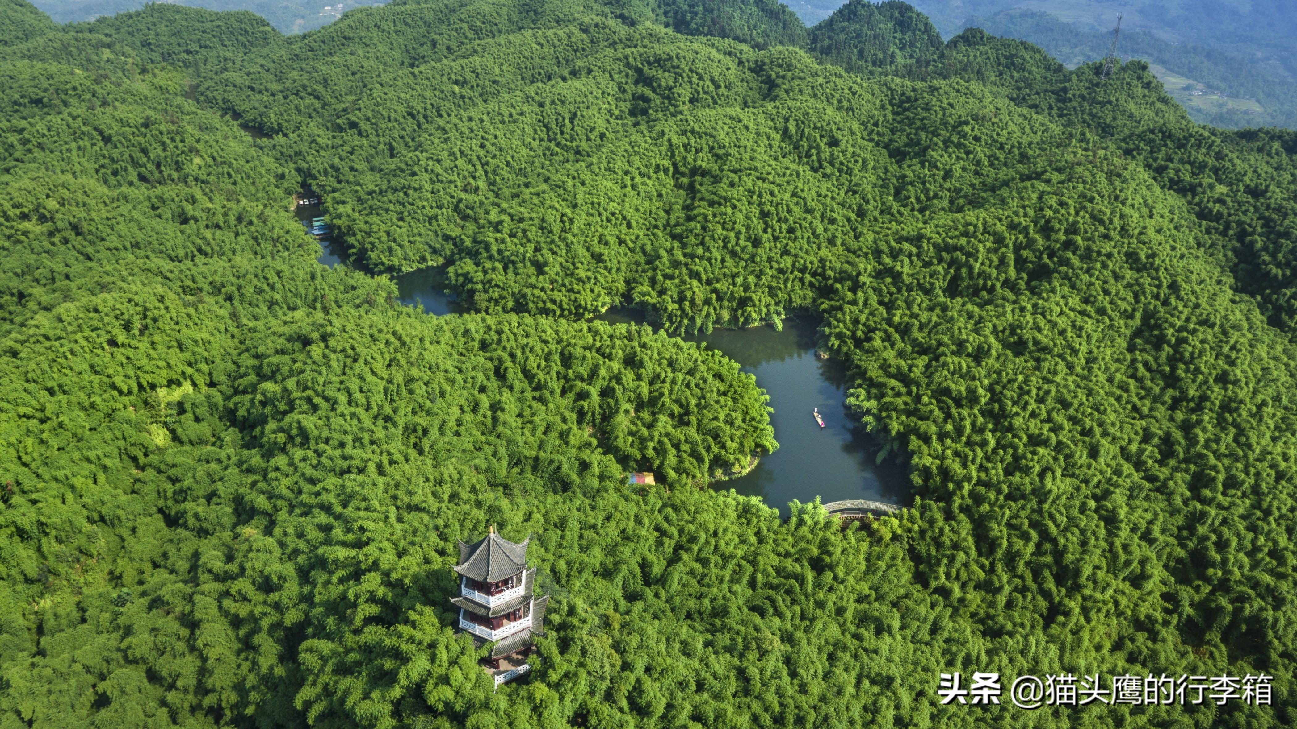 沐川竹海本地人门票多少钱_沐川竹海好耍不_沐川竹海旅游攻略