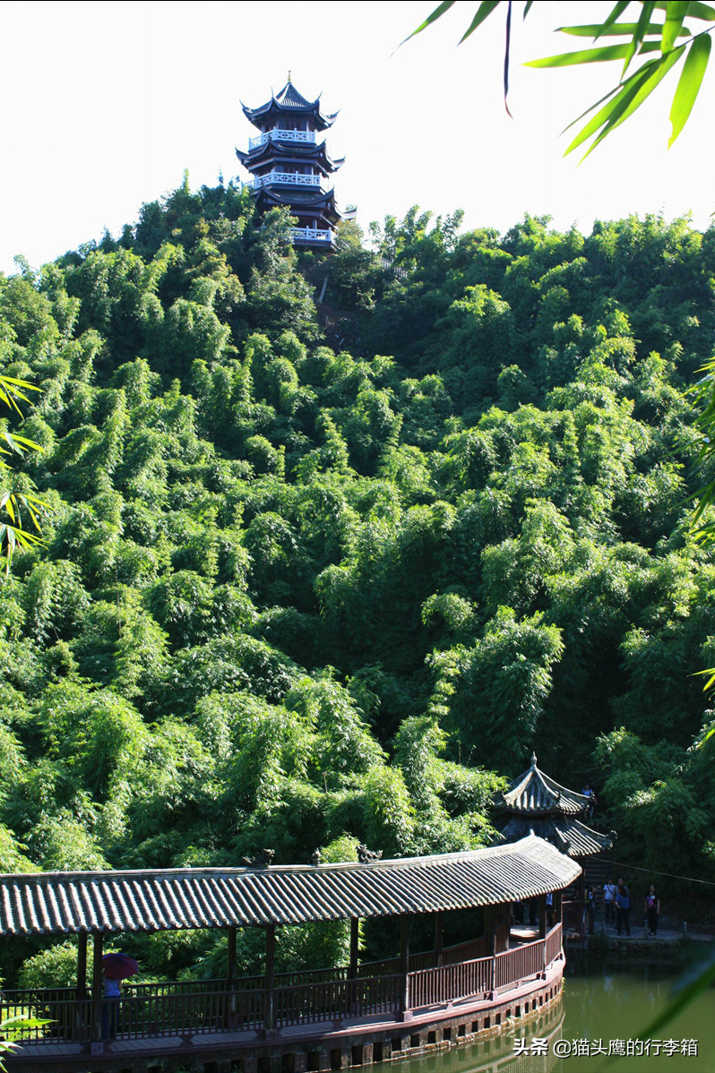 沐川竹海旅游攻略_沐川竹海本地人门票多少钱_沐川竹海好耍不