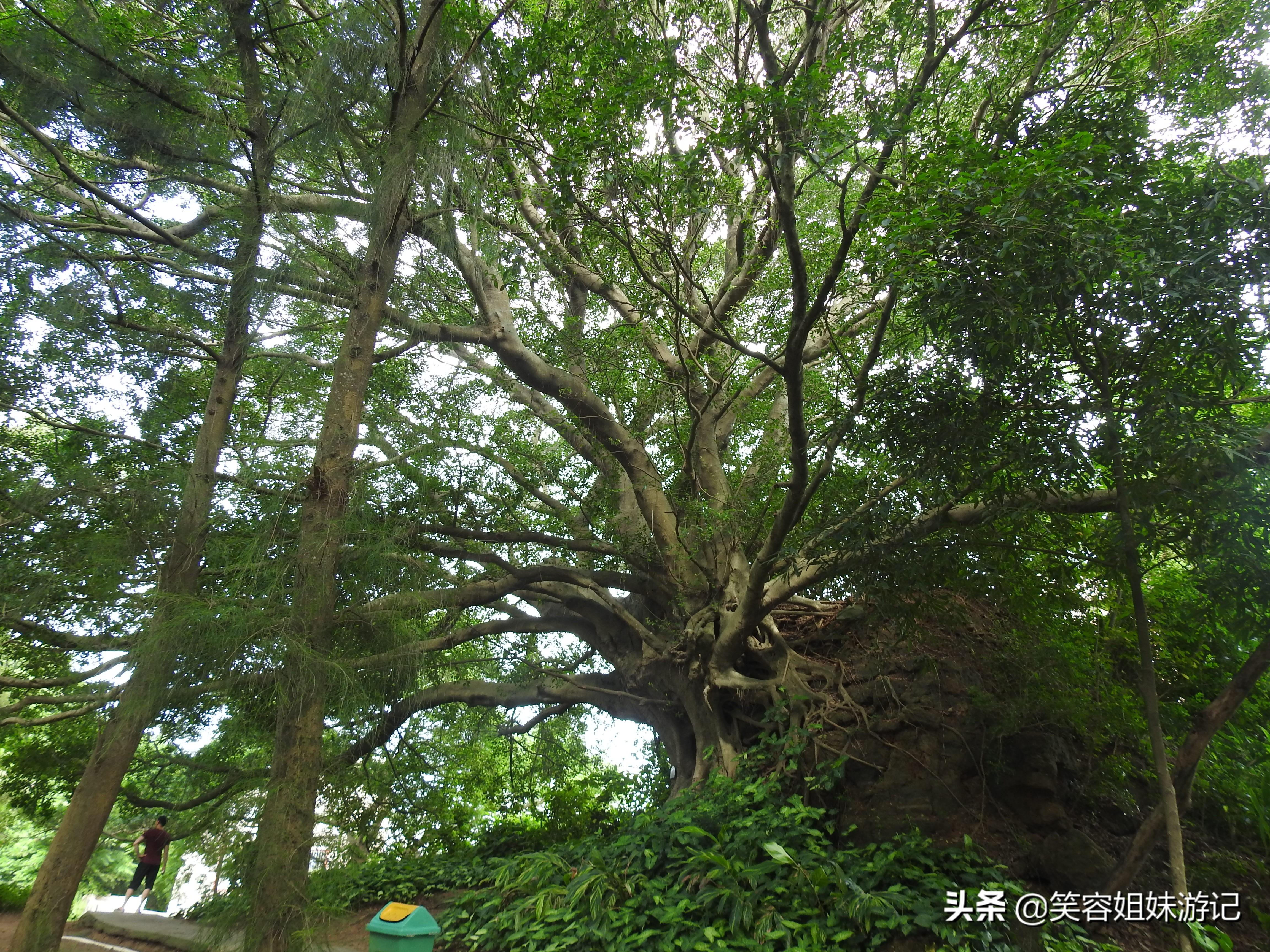 南澳旅游攻略_深圳大鹏南澳旅游攻略_南澳旅游地图