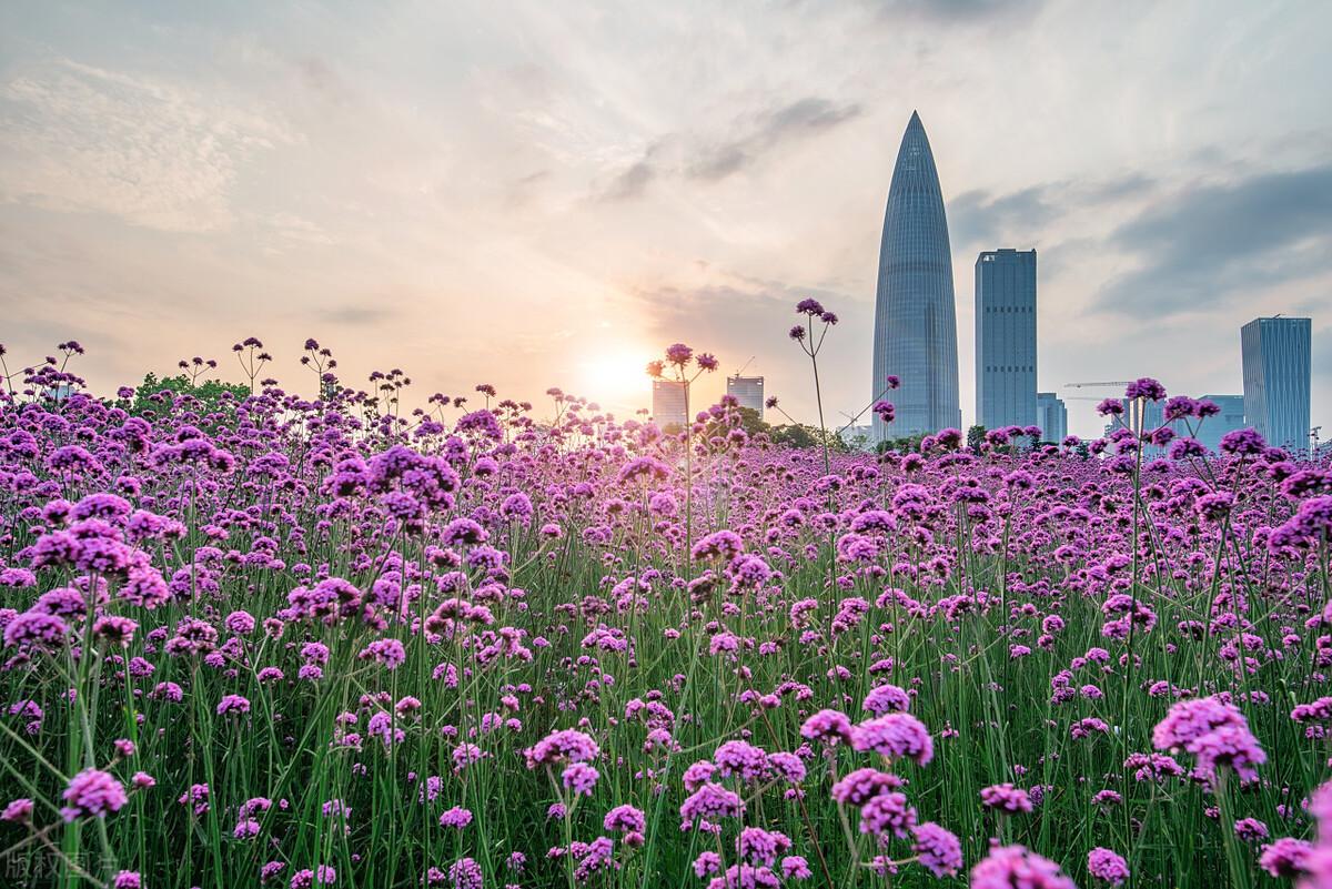 周末广州周边好玩景点_广州番禺好玩景点介绍_广州市有什么好玩的景点