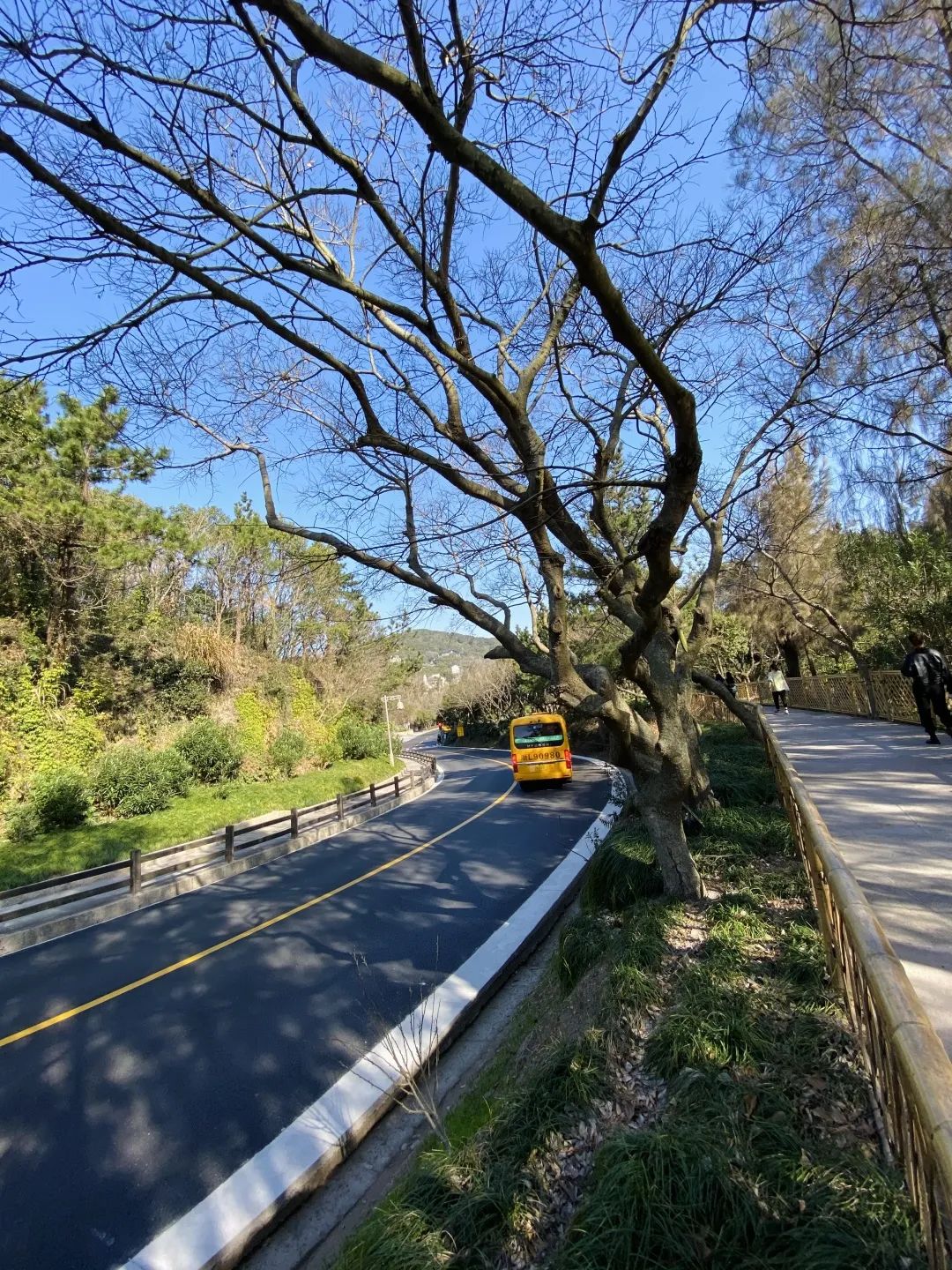 北京自驾黃山游_湖南崀山自驾如何游_普陀山旅游攻略自驾游