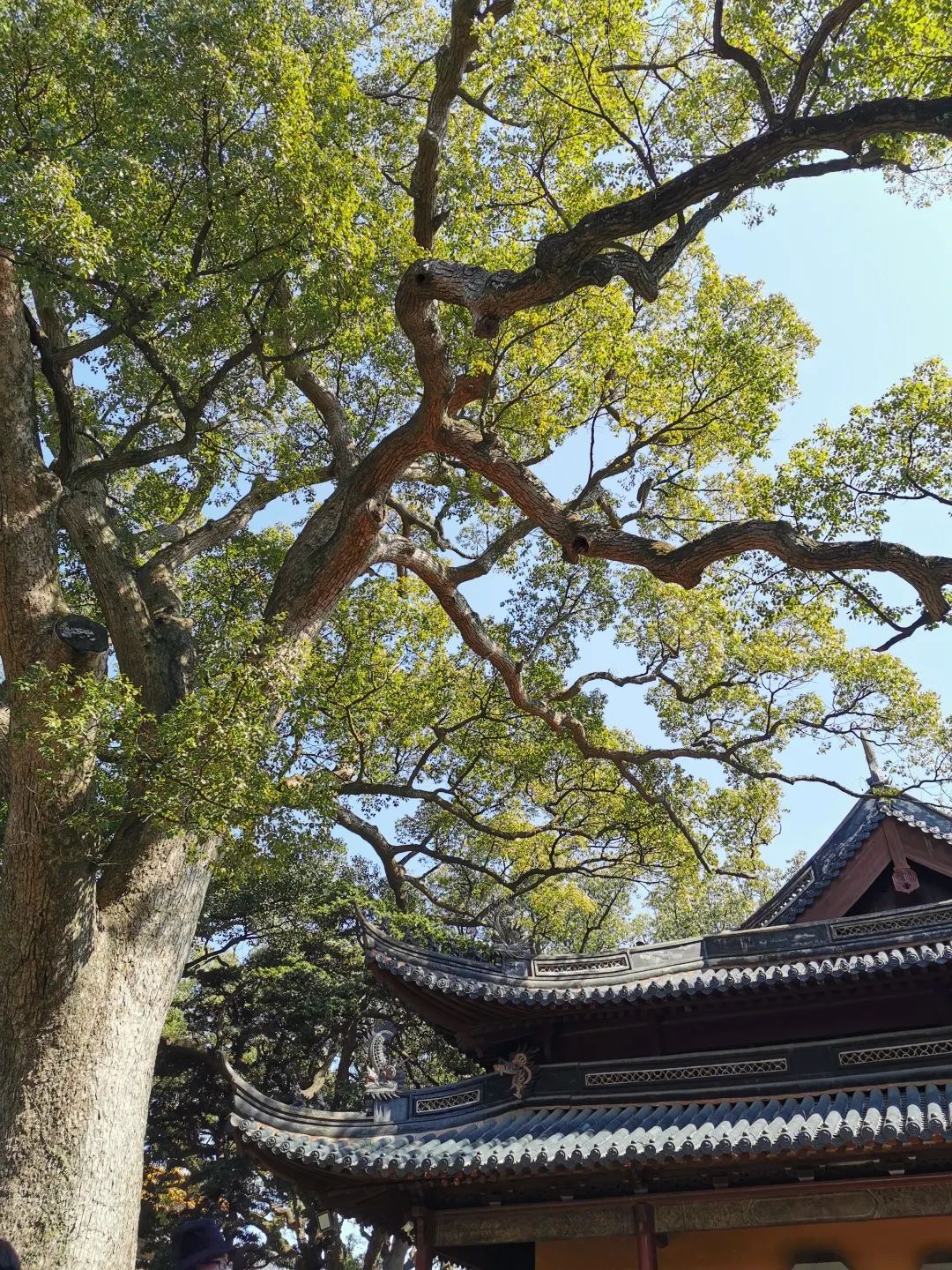 普陀山旅游攻略自驾游_北京自驾黃山游_湖南崀山自驾如何游