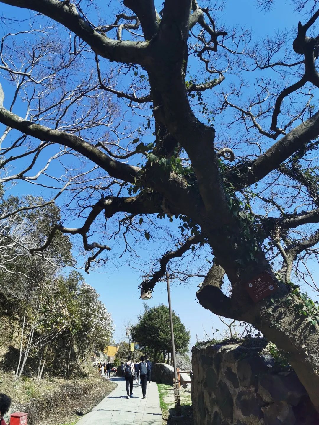 湖南崀山自驾如何游_普陀山旅游攻略自驾游_北京自驾黃山游