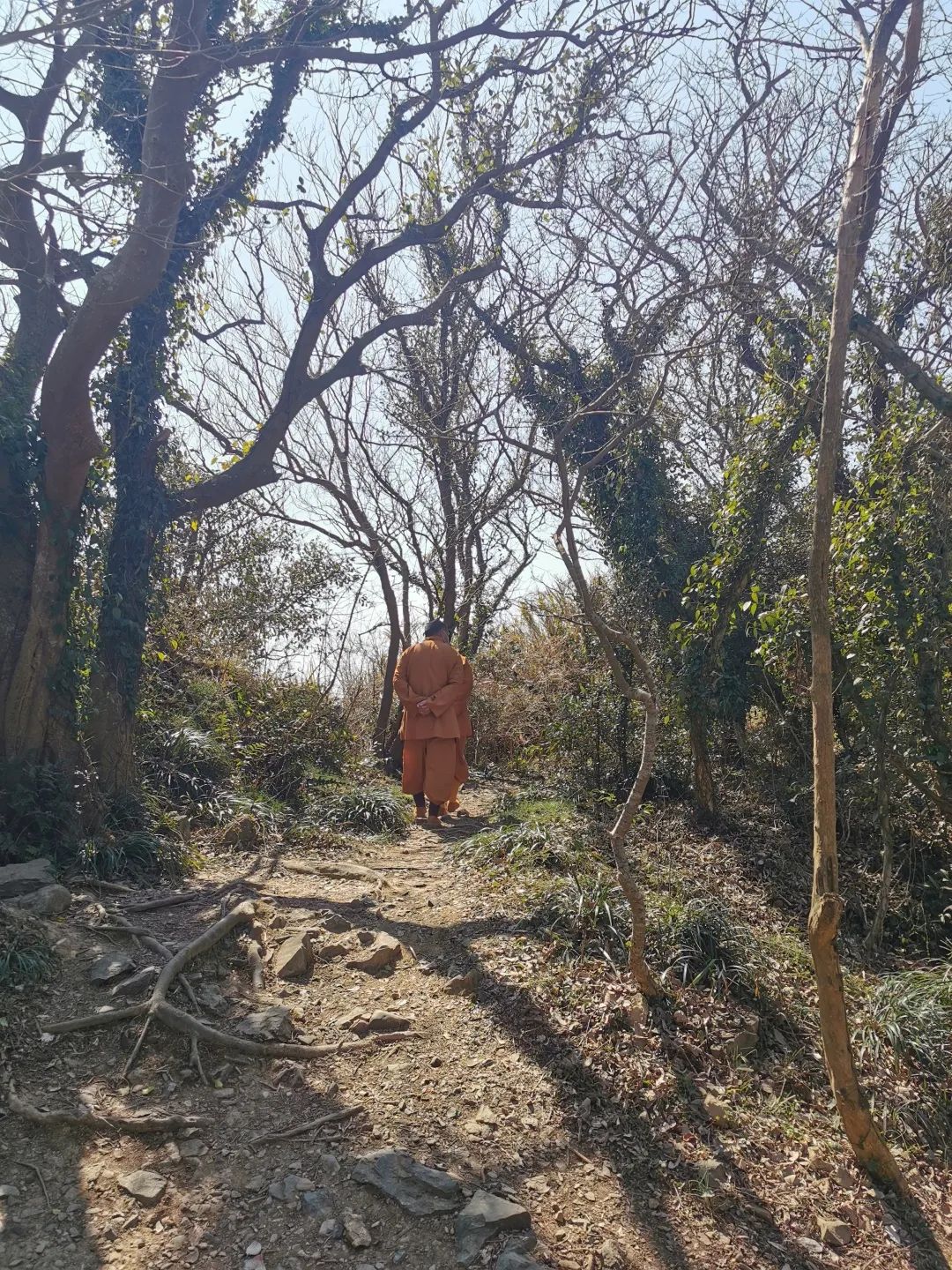 北京自驾黃山游_普陀山旅游攻略自驾游_湖南崀山自驾如何游