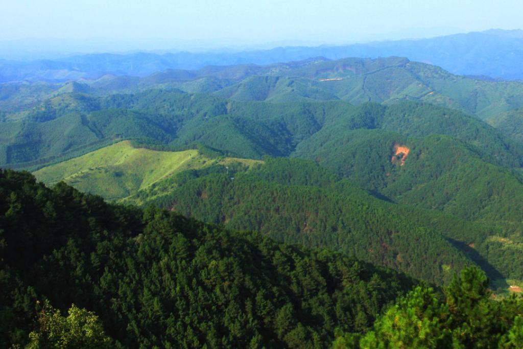 广西梧州好玩的地方_广西贺贺州同广西阳朔哪里好玩_台山周边好玩地方好玩