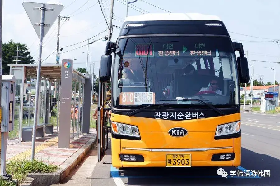 荷包岛旅游攻略_嵊泗枸杞岛旅游攻略_济州岛黄金巴士旅游攻略