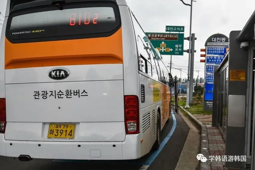 嵊泗枸杞岛旅游攻略_荷包岛旅游攻略_济州岛黄金巴士旅游攻略