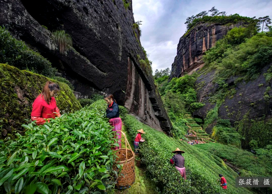 福州到大金湖怎么走_福州到三清山旅游攻略_福州到大金湖旅游攻略