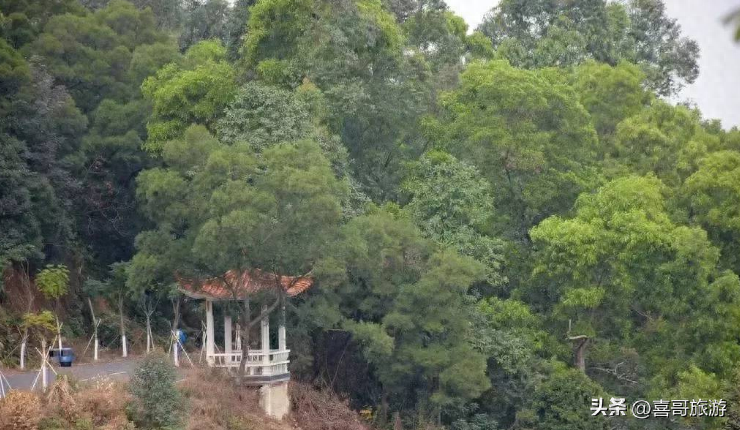 番禺好玩的景点_番禺景点大全排名_番禺景点推荐