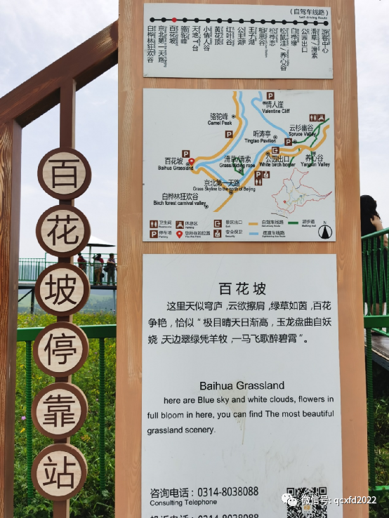 河北有坝上草原吗_河北坝上草原旅游攻略_河北坝上草原有什么好玩的