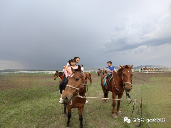 河北有坝上草原吗_河北坝上草原有什么好玩的_河北坝上草原旅游攻略