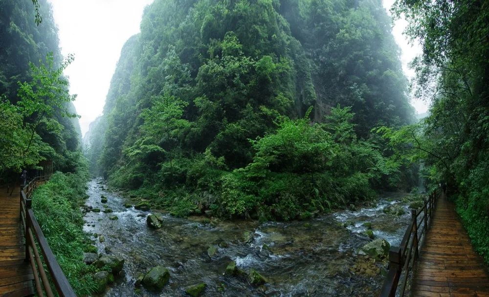 峡谷游玩张家界攻略大全_张家界大峡谷游玩攻略_峡谷游玩张家界攻略大全图解