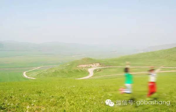 河北坝上草原自驾游_河北坝上草原最佳旅游时间_河北坝上草原旅游攻略