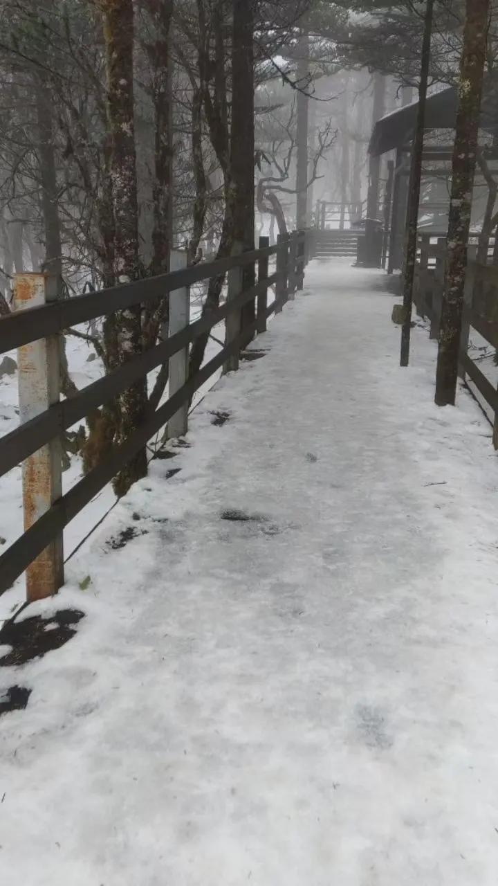 昆明轿子雪山旅游攻略_昆明轿子雪山一日游_云南昆明轿子雪山