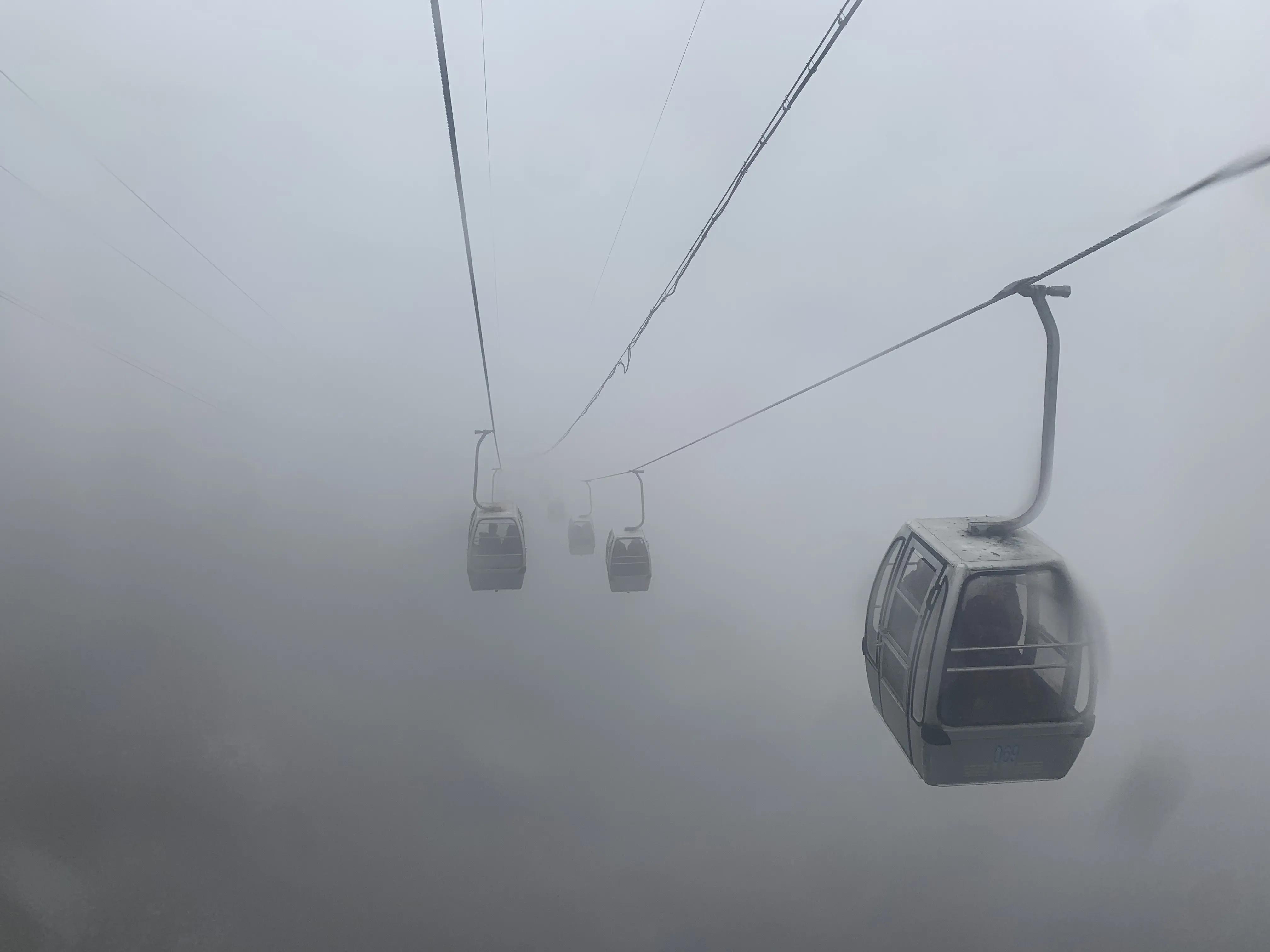 云南昆明轿子雪山_昆明轿子雪山一日游_昆明轿子雪山旅游攻略