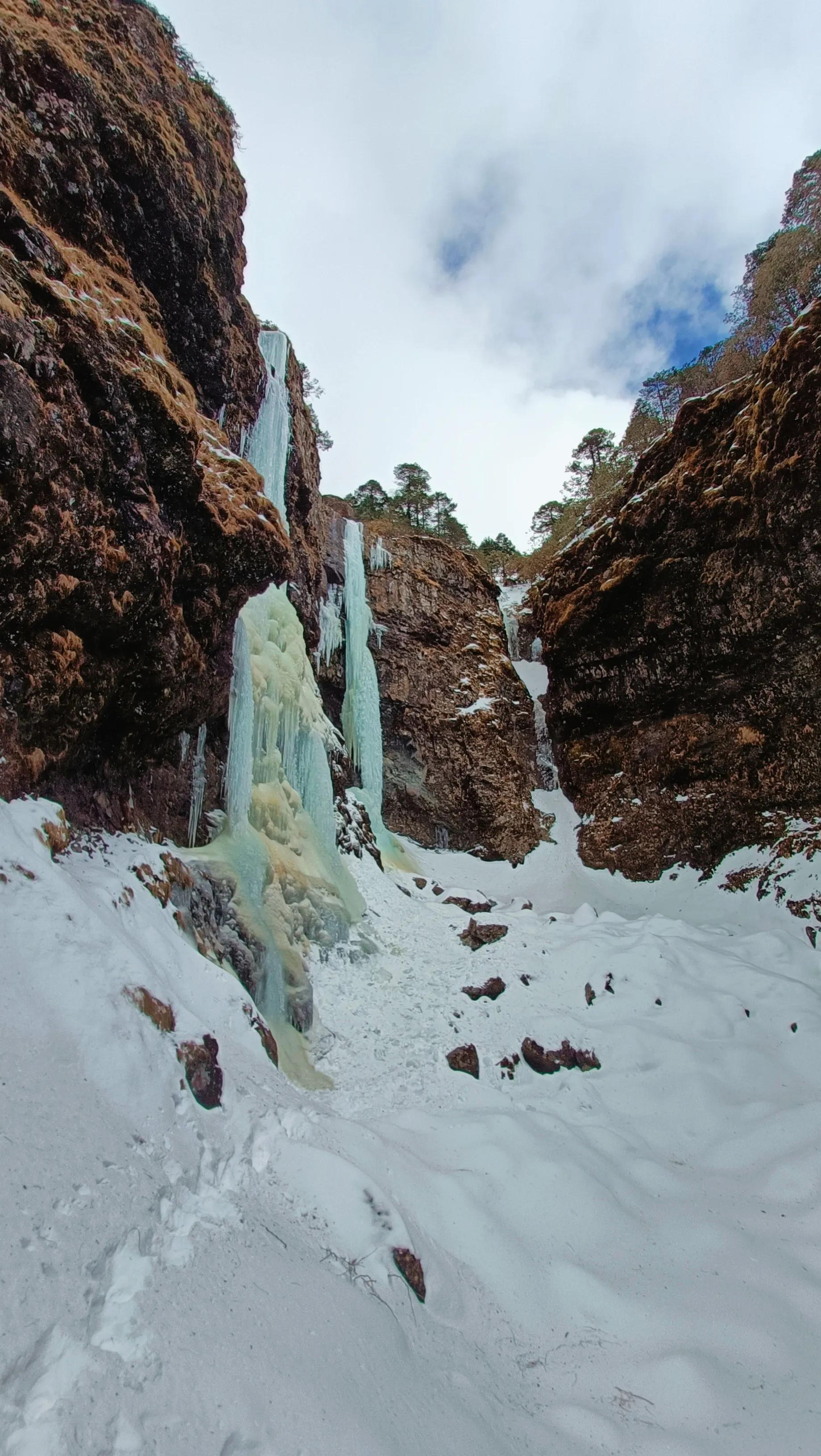 云南昆明轿子雪山_昆明轿子雪山旅游攻略_昆明轿子雪山一日游