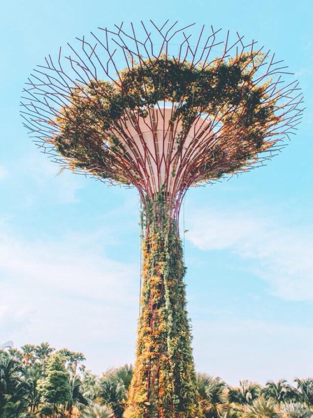 马泰的高原风景_马泰攻略旅游新闻_新马泰旅游攻略