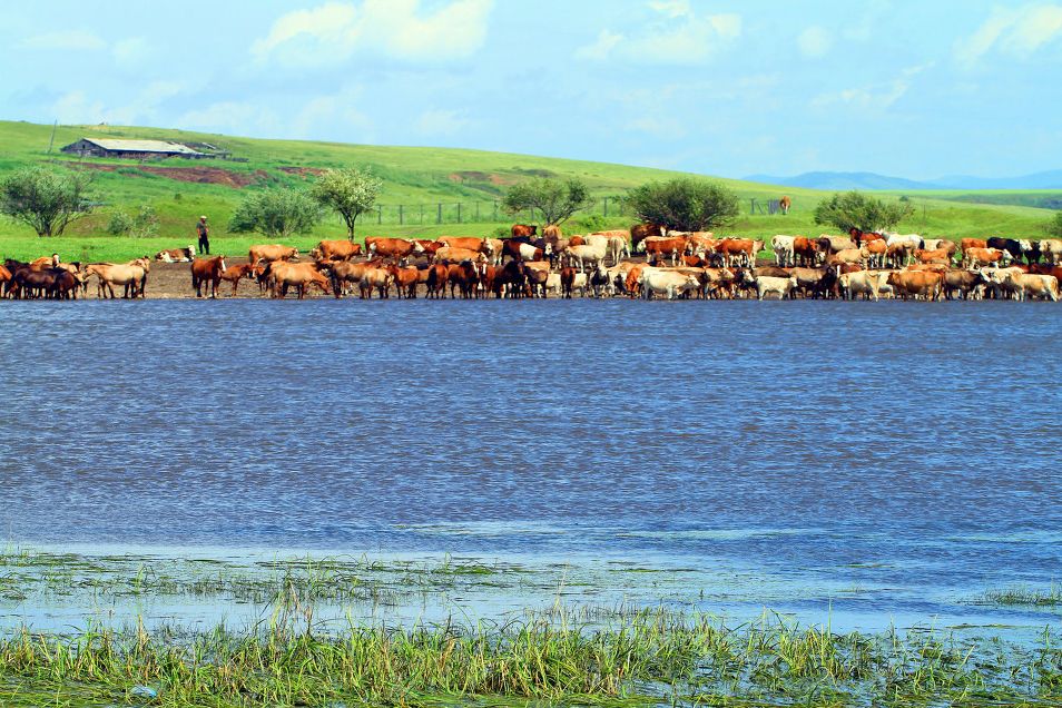 中国景点旅游地图_国内旅游景点地图_国内旅游景点地图高清