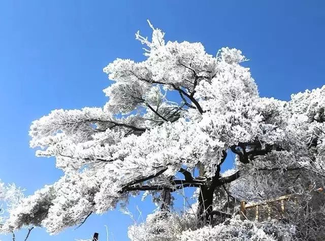 冬季洛阳旅游攻略_冬季洛阳栾川旅游攻略_洛阳冬季旅游