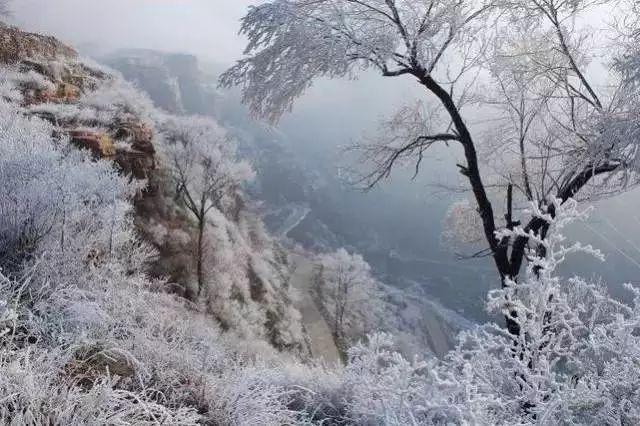 洛阳冬季旅游_冬季洛阳旅游攻略_冬季洛阳栾川旅游攻略