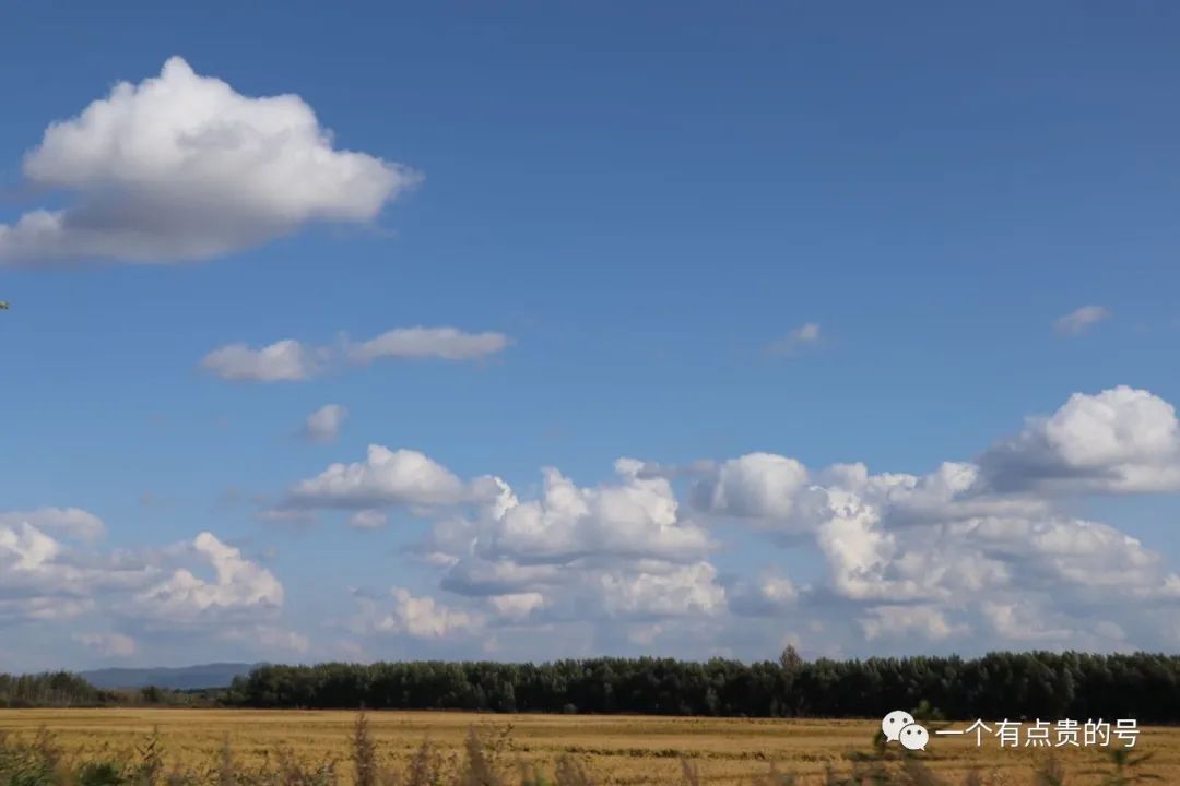 带父母出国去哪里旅游好_国内4天去哪里旅游好_冬天出国旅游去哪里好